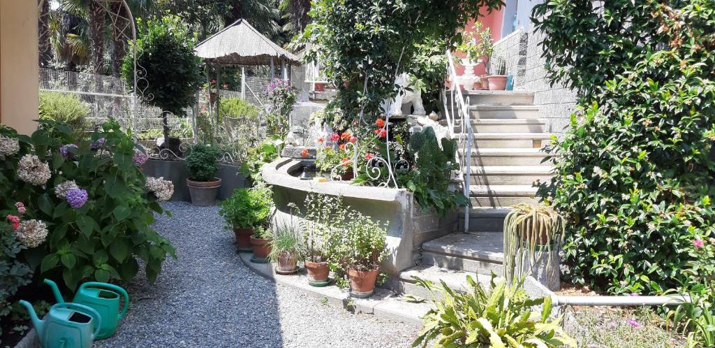維韋羅內的住宿－A casa di Mirco，种有盆栽植物和植物楼梯的花园