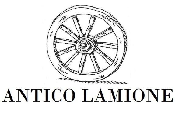 Antico Lamione - 8