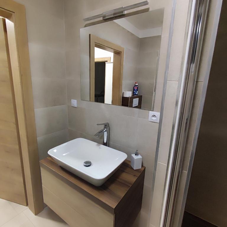 Koupelna v ubytování Apartmán Mignon
