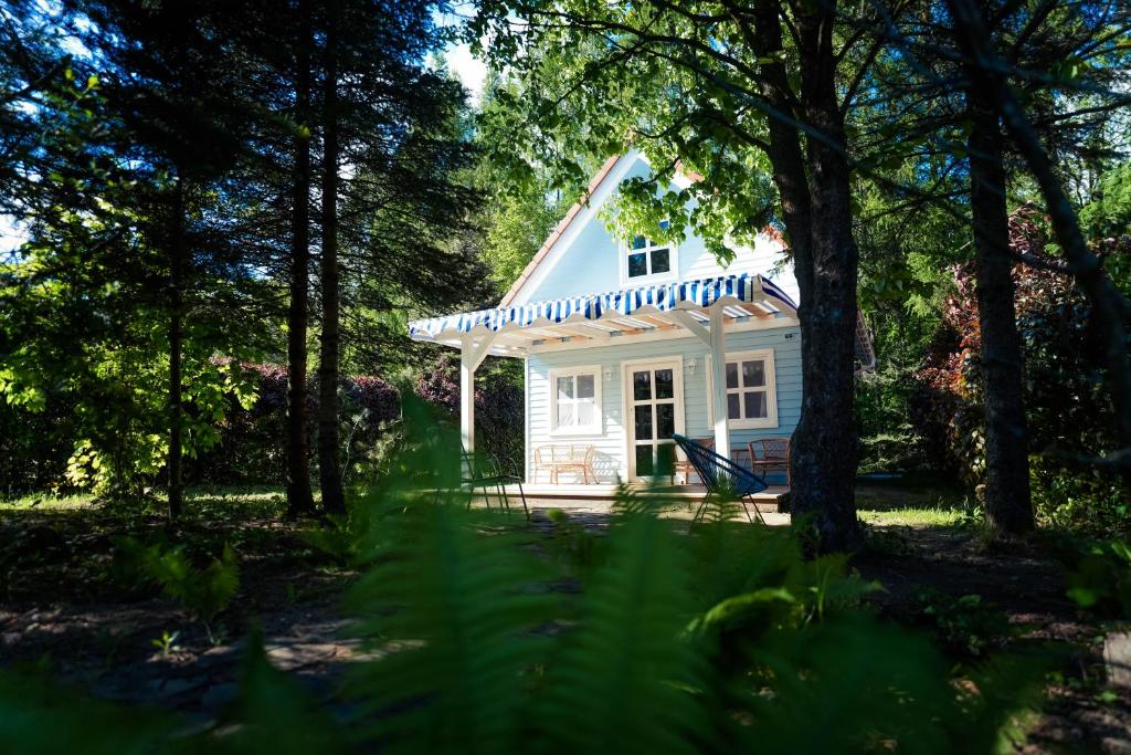 una casa blanca en el bosque con árboles en Kwiat Paproci, en Ryn