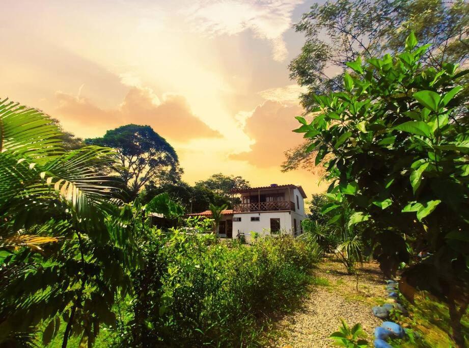 una casa en medio de un campo con árboles en Espectacular Casa-Bonobo house al lado del rio en Acacías
