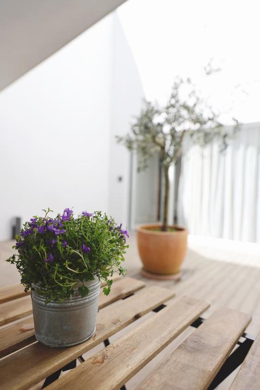 RIBEIRA FLORES 59 Downtown Apartments - 16