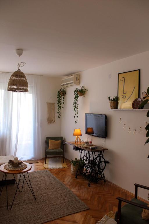 Фотография из галереи Bohome apartman - FREE PARKING в городе Вране