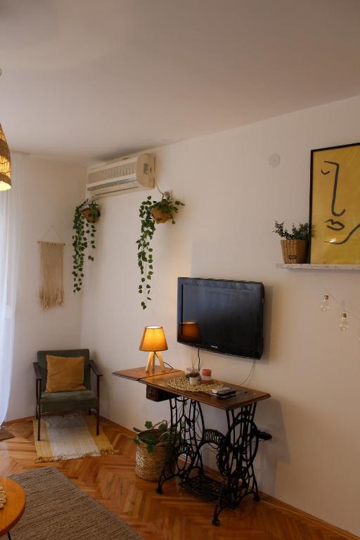 Фотография из галереи Bohome apartman - FREE PARKING в городе Вране