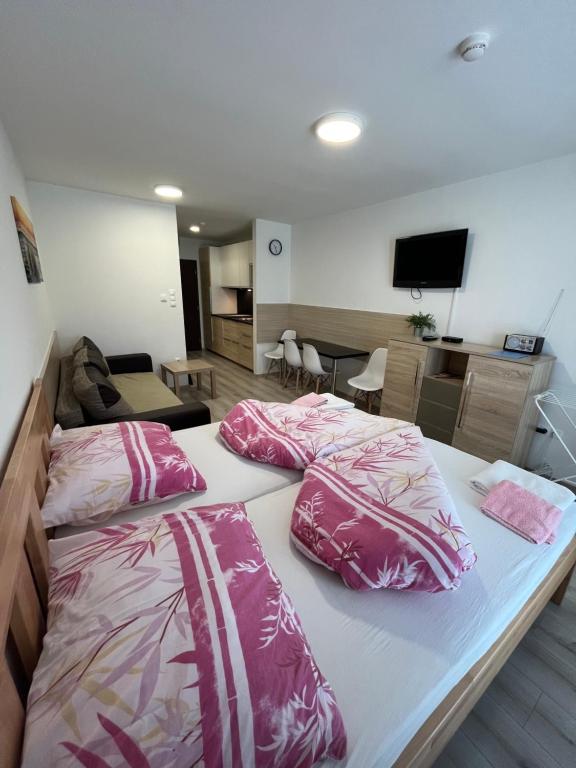 TV a/nebo společenská místnost v ubytování Apartmán Paula 3