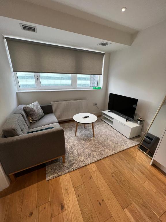 a living room with a couch and a tv at Lovely apartment in the centre of Croydon in Croydon