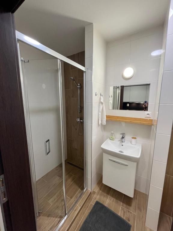 Koupelna v ubytování Apartmán Paula 3