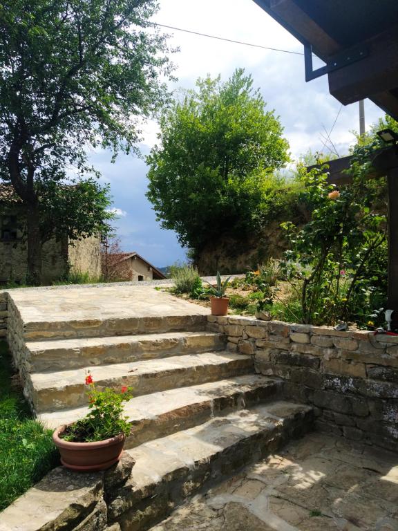 A garden outside Country old stone house immerse in nature
