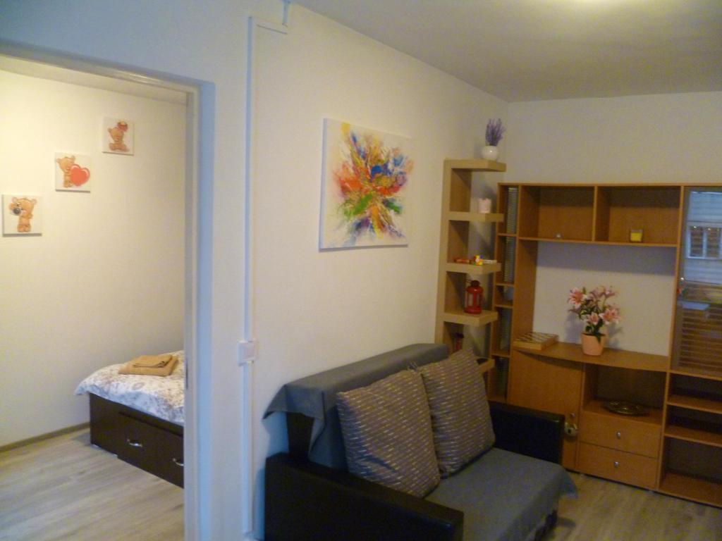 Romanilor - Studio First Floor - Квартира с одной спальней
