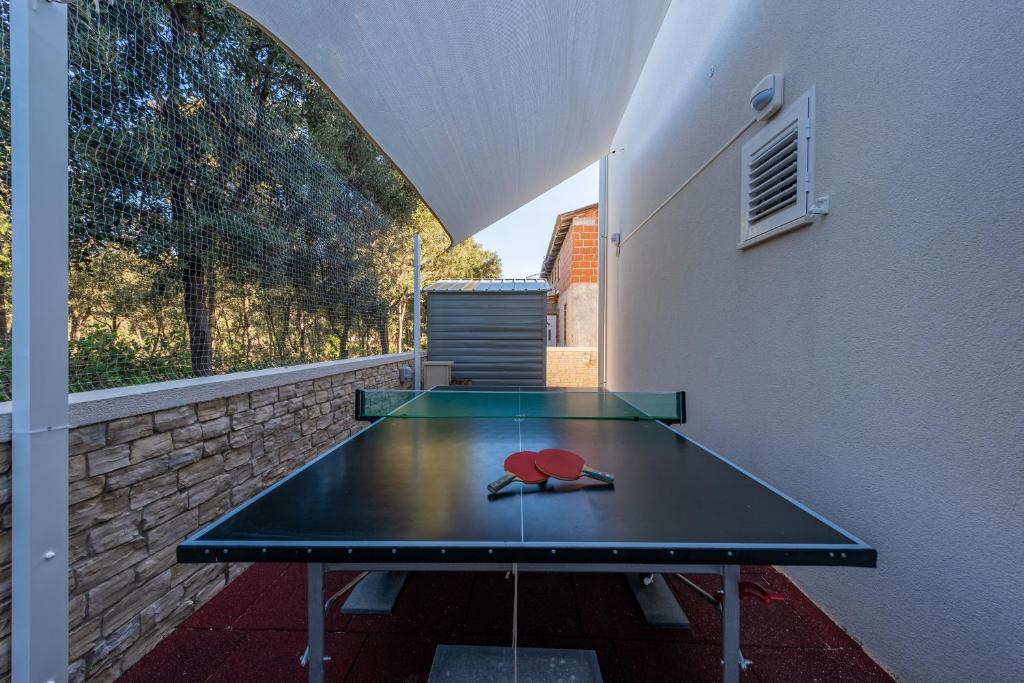 Stolní tenis v ubytování Hibiskus App2 nebo okolí