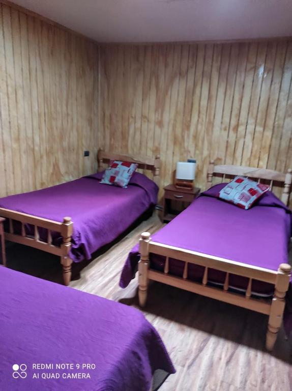 Hostal Trekking De La Patagonia, Punta Arenas (updated prices 2024)