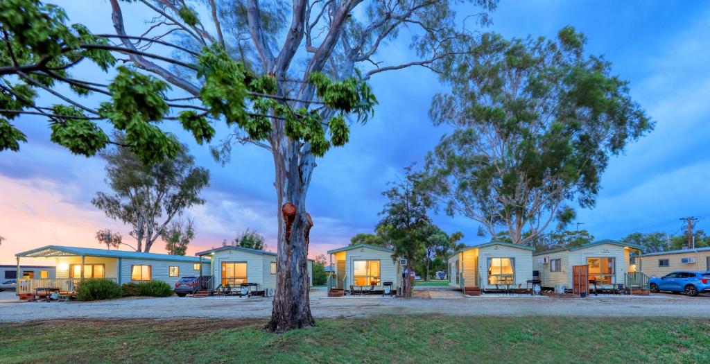 una fila de casas con un árbol en primer plano en Kerang Holiday park, en Kerang