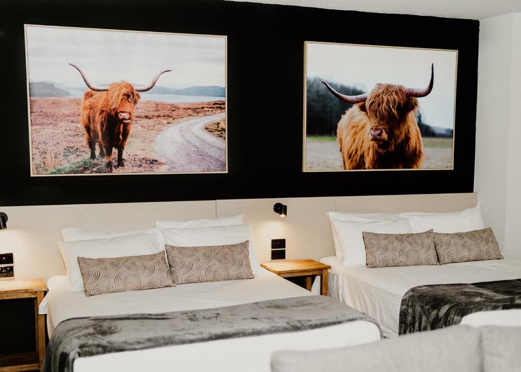 dos toros en la pared de una habitación con dos camas en Nightcap at Barkly Hotel, en Mount Isa