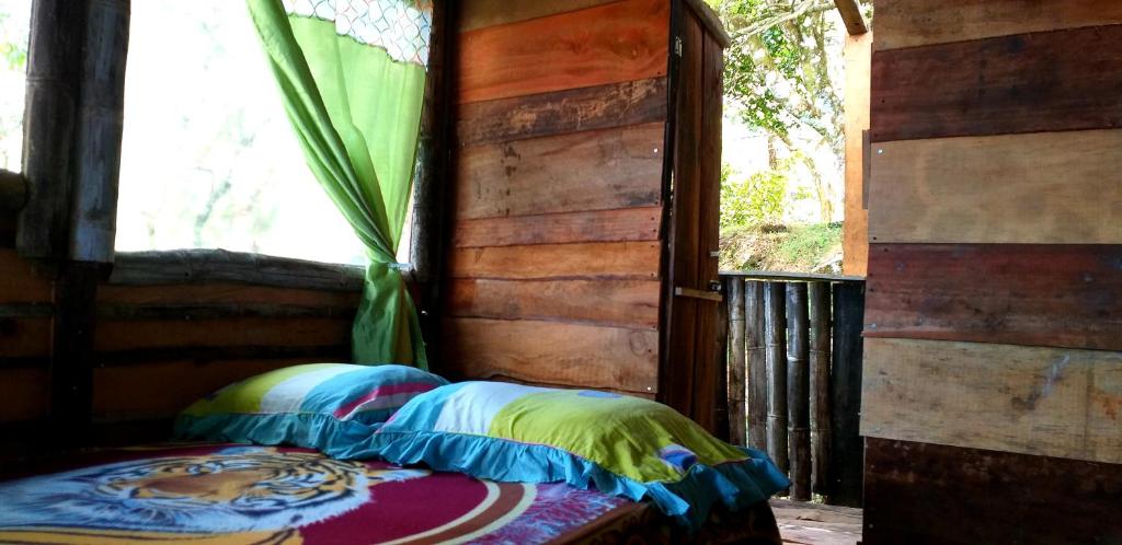 1 cama en una habitación con ventana en Roots, en Valle Hornito