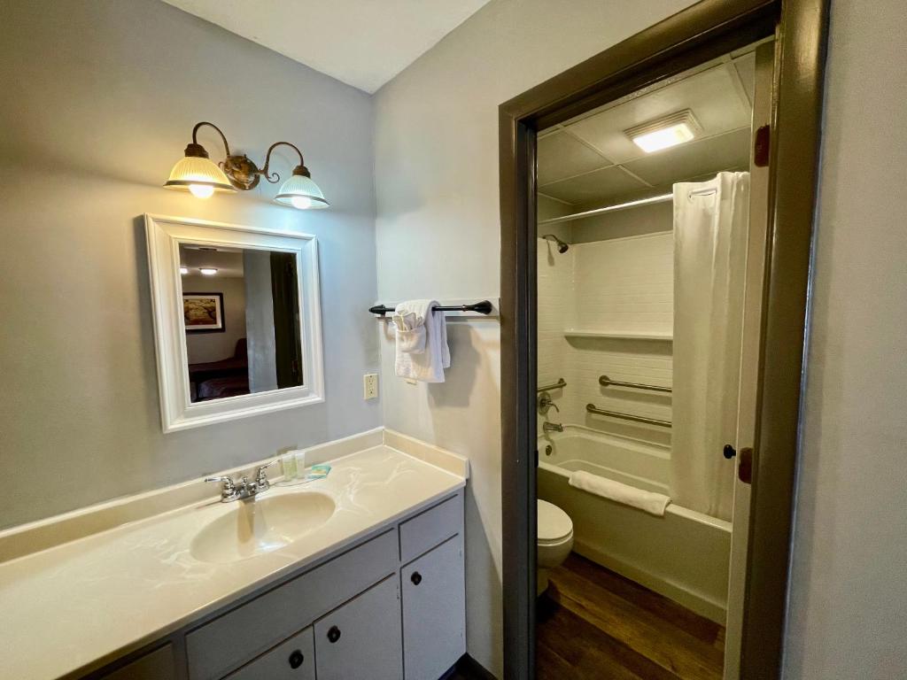 a bathroom with a sink and a toilet and a mirror at Alpine Village Inn in Helen