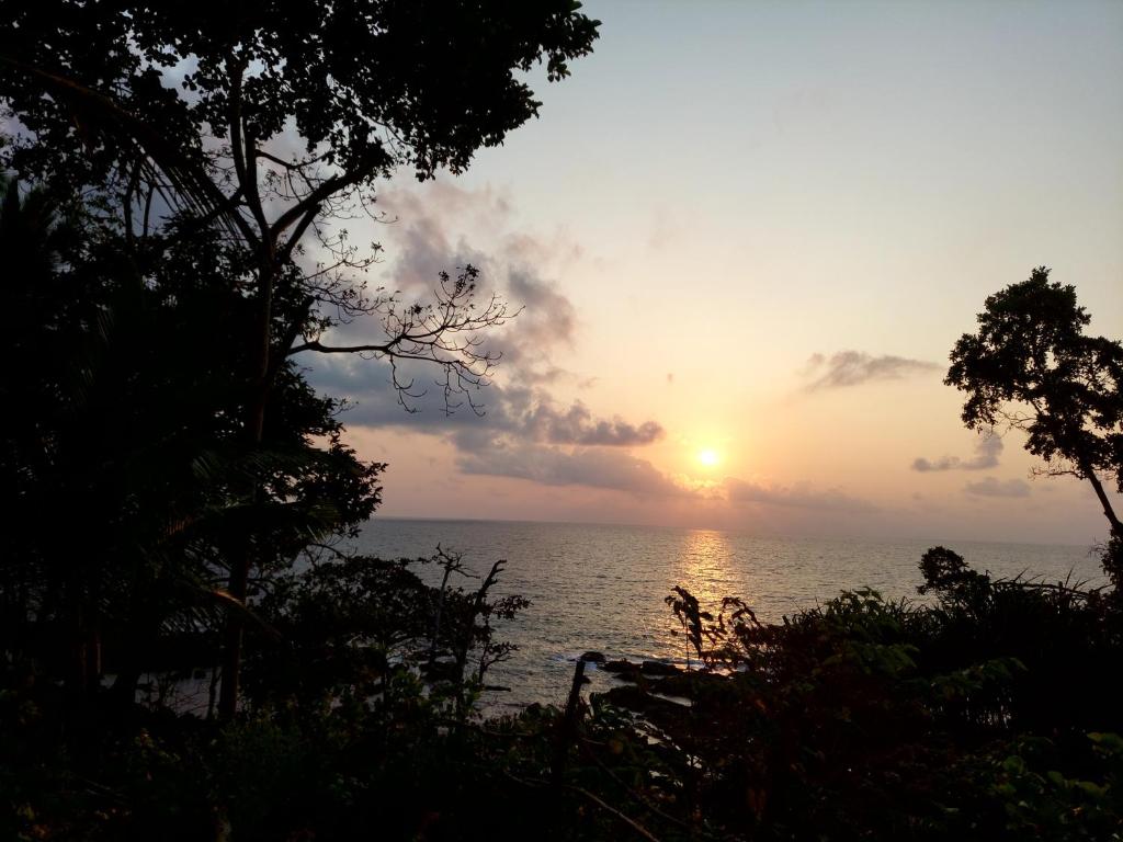 a sunset over the ocean with trees in the foreground at Adhvasaha Beach Spa Resort in Port Blair