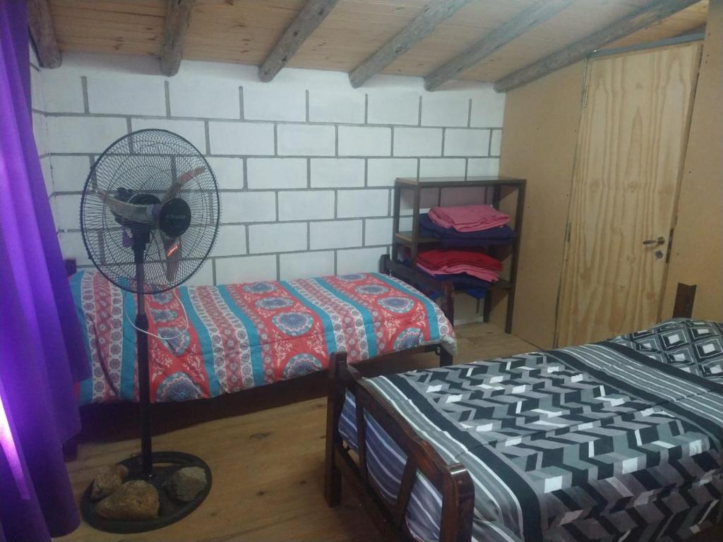 cabañas rio y playa 2