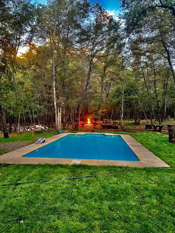 Jardín al aire libre en Cabañas Bosque las Trancas