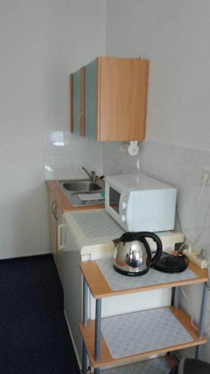 Kuchnia lub aneks kuchenny w obiekcie Penzion Ariane