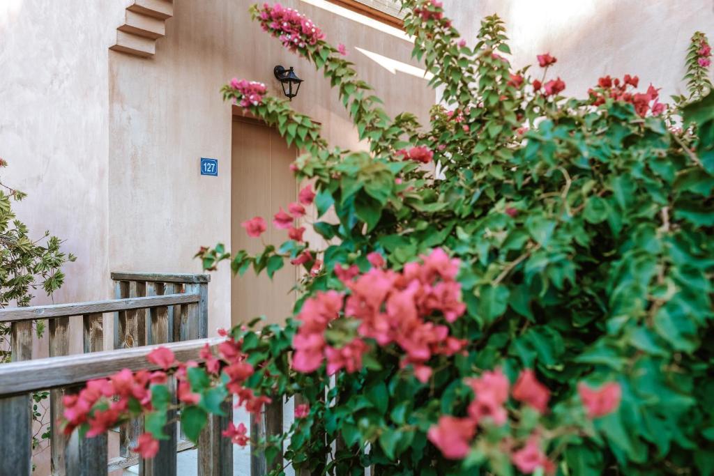 Candia Park Village - 15