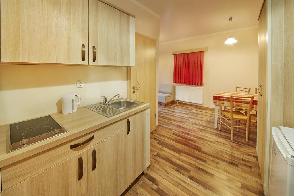 Kuchyň nebo kuchyňský kout v ubytování Rute Hotel and Apartments