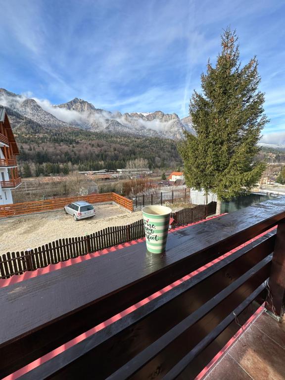 a coffee cup sitting on top of a bench with mountains at Casa Rares Busteni in Buşteni