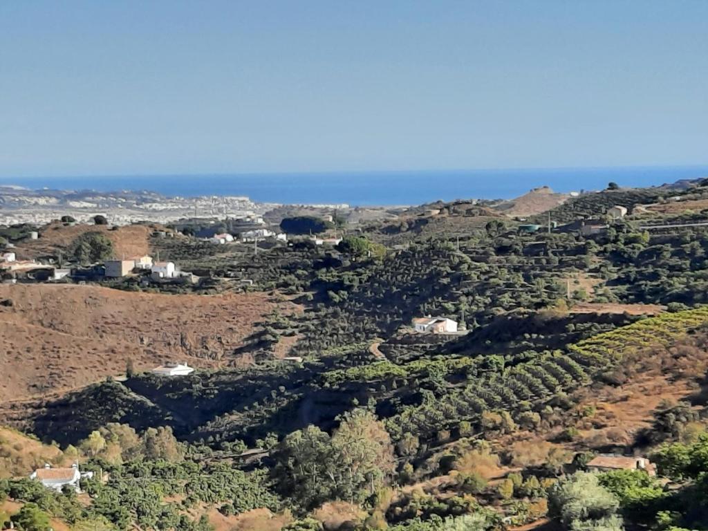an aerial view of a vineyard in the hills at Casa Montaña Vélez-Málaga B&B in Vélez-Málaga