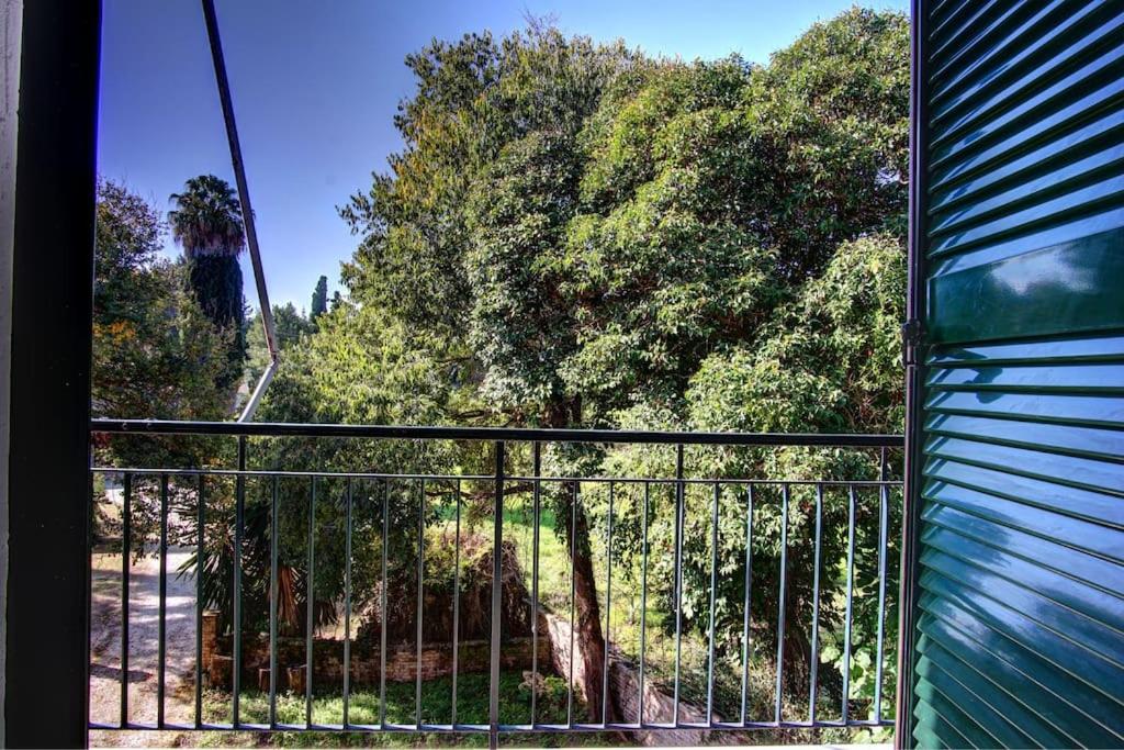 Fotografie z fotogalerie ubytování Kellys Apartment v destinaci Anemómylos