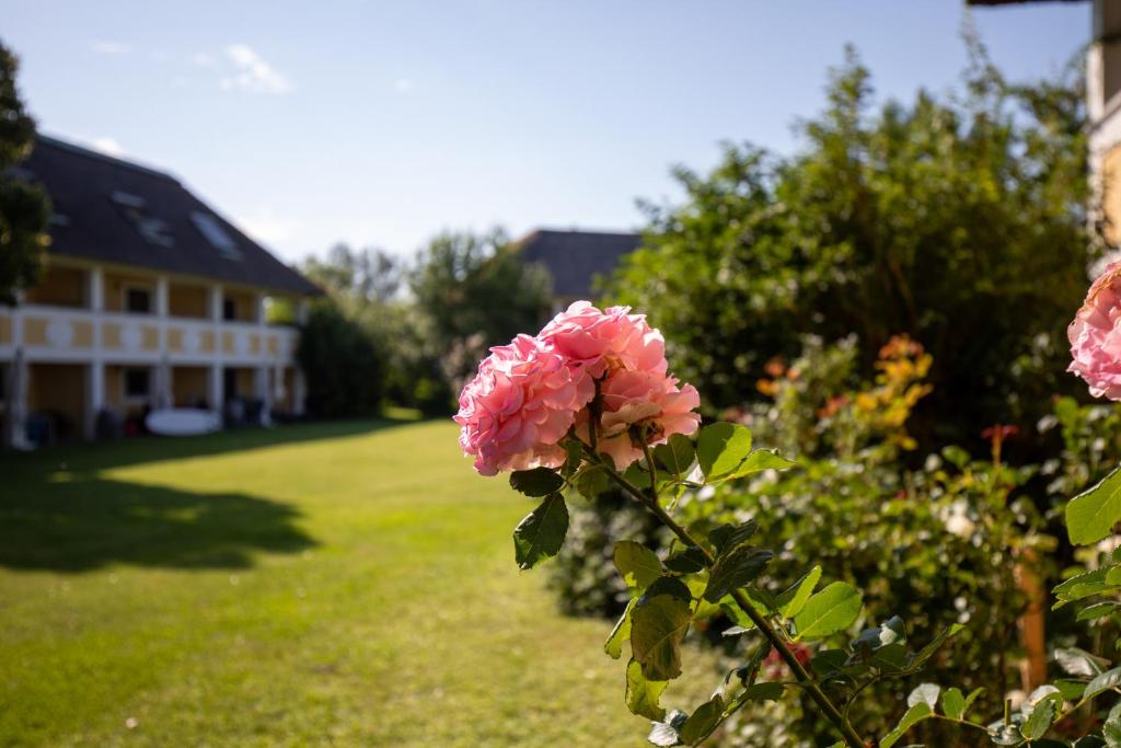 Zahrada ubytování Seepark Weiden - Baumhof