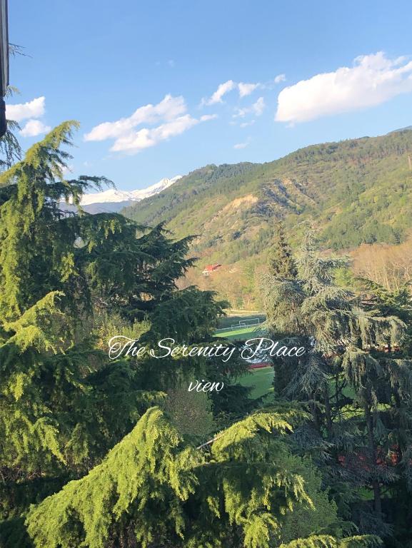 The Serenity Place