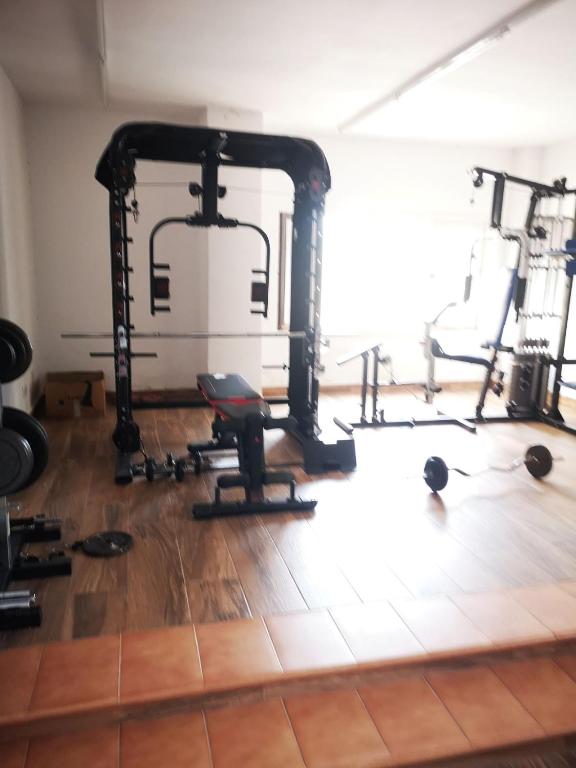 Fitness centrum a/nebo fitness zařízení v ubytování Gálica 104