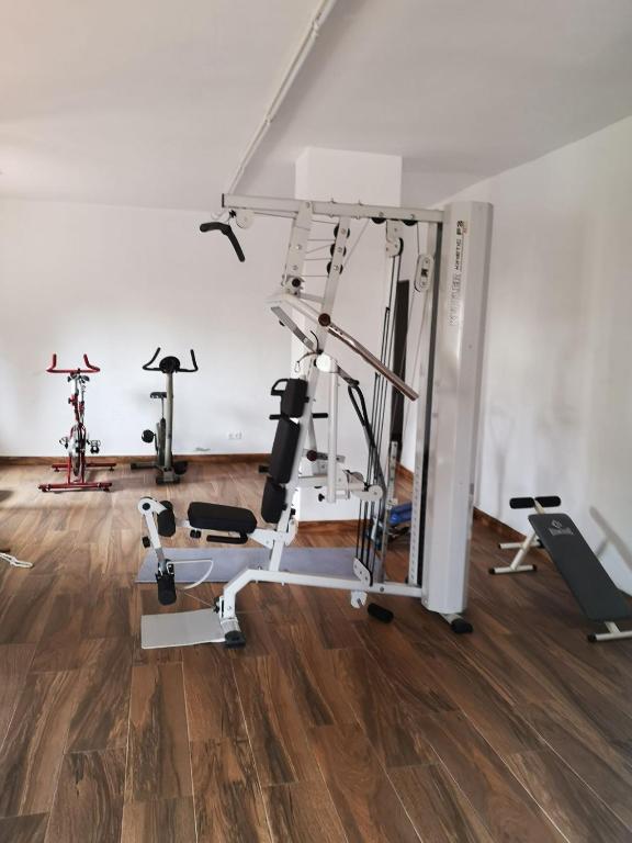 Fitness centrum a/nebo fitness zařízení v ubytování Gálica 104