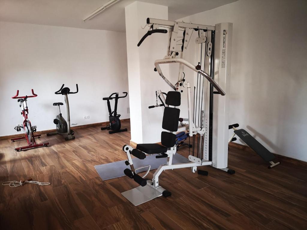 Posilňovňa alebo fitness centrum v ubytovaní Gálica 103