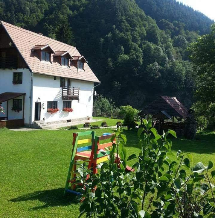 a house with two colorful chairs in a yard at Cabana Valea Sadului in Rau Sadului