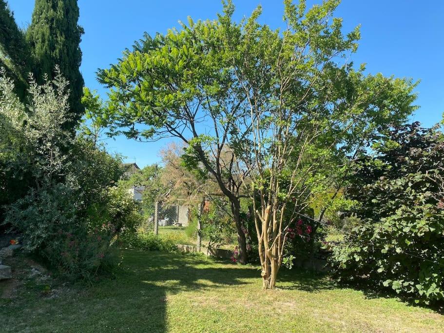 a tree in the middle of a yard at Maison Rez de Jardin intégral entre Disney & Paris in Chelles
