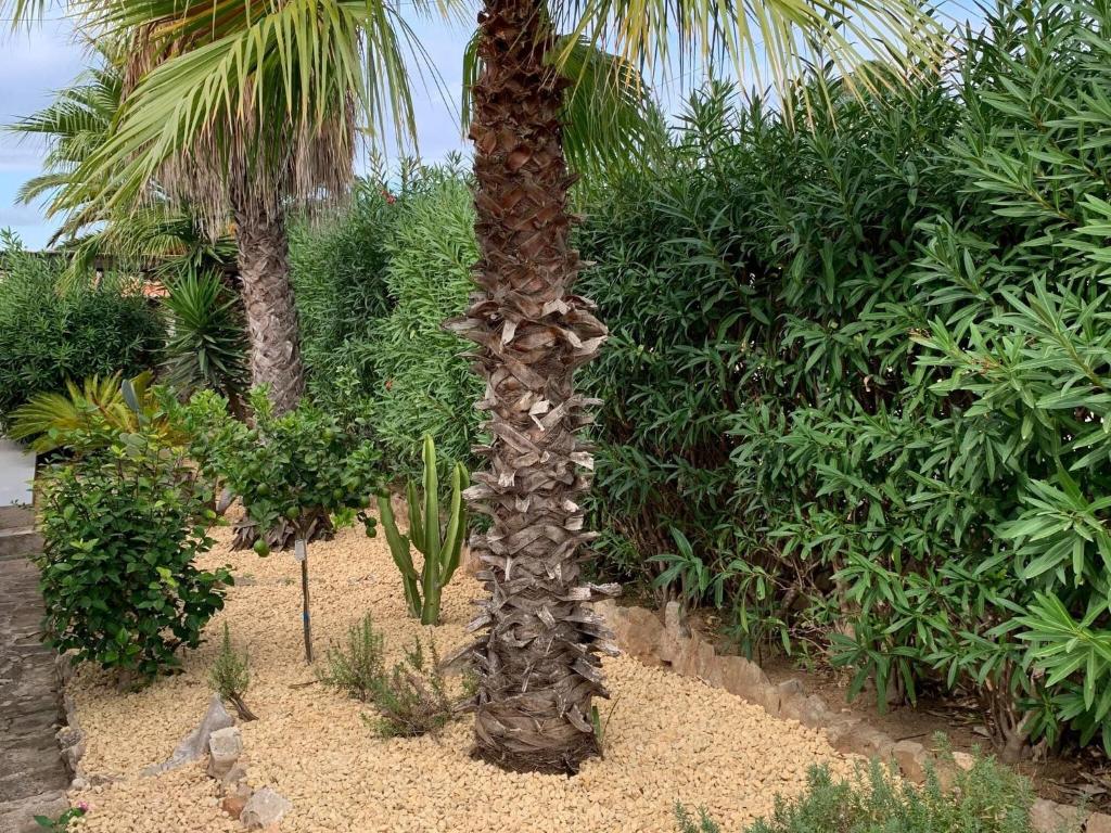 Fotografia z galérie ubytovania Belvilla by OYO Las Brisas v destinácii Jávea