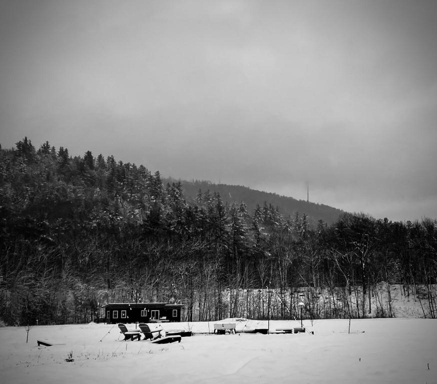 Modern Cabin - Ski and Snow Retreat - Housity