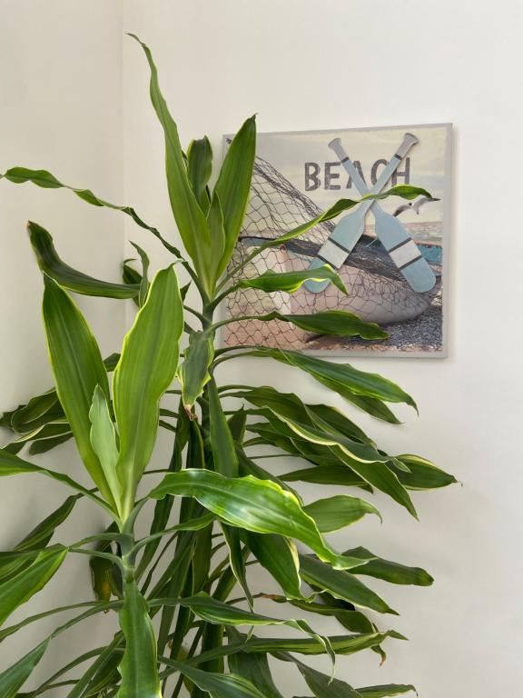 Fotografie z fotogalerie ubytování B&B FRONTEMARE San Salvo Marina CH v destinaci San Salvo