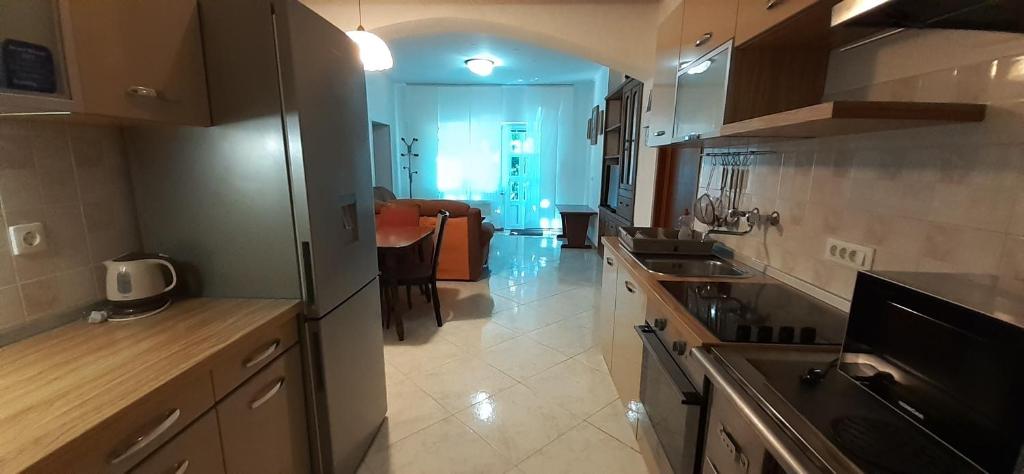 Kuchyňa alebo kuchynka v ubytovaní Apartments Dida moj