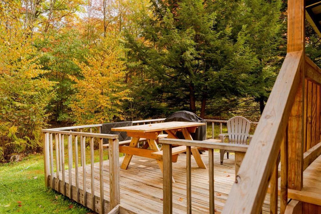 Zahrada ubytování Salmon Creek Cabin - Allegheny National Forest