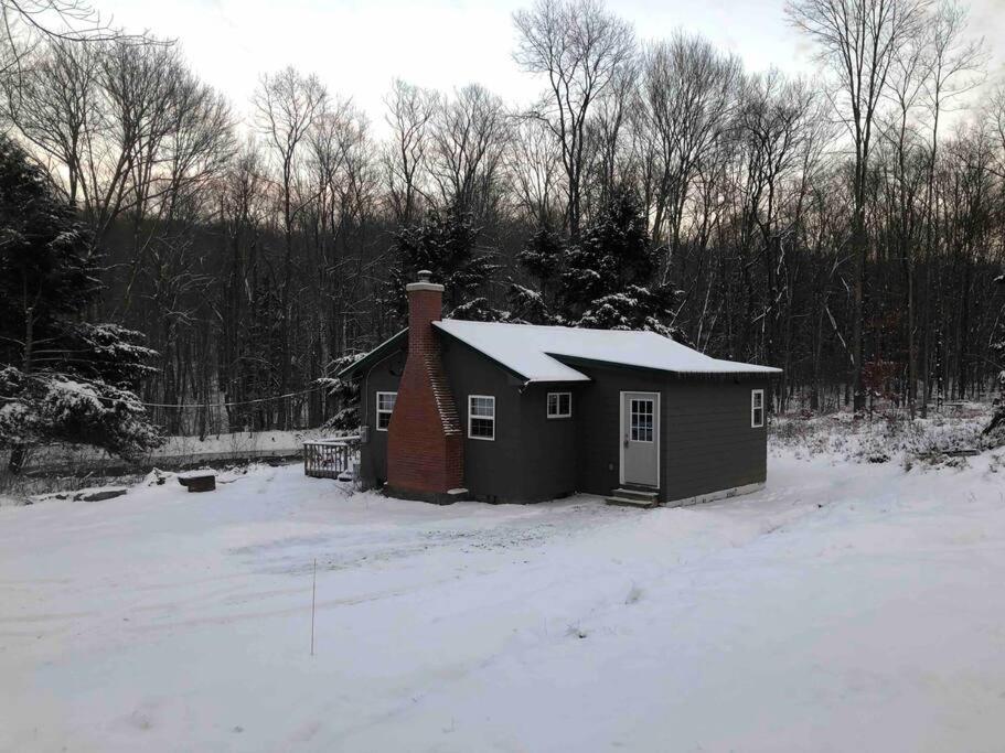 Salmon Creek Cabin - Allegheny National Forest v zimě
