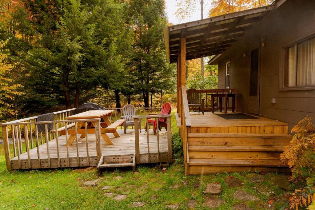 Zahrada ubytování Salmon Creek Cabin - Allegheny National Forest