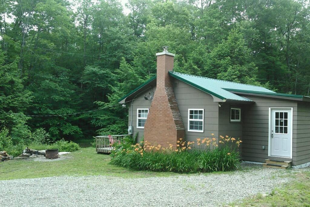 Zahrada ubytování Salmon Creek Cabin - Allegheny National Forest