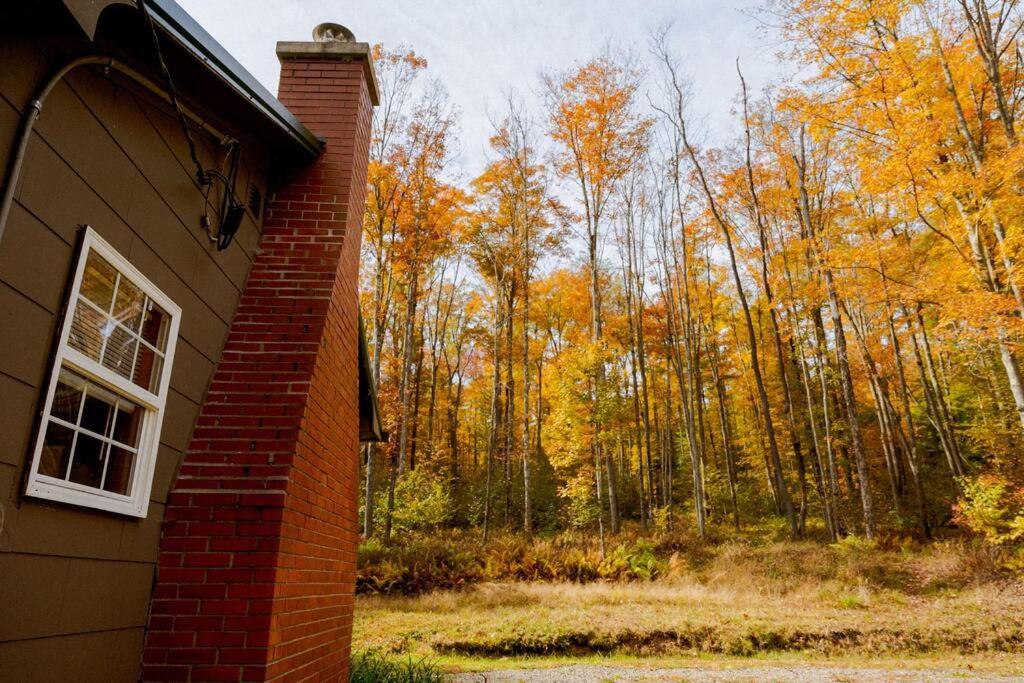 Fotografie z fotogalerie ubytování Salmon Creek Cabin - Allegheny National Forest v destinaci Marienville