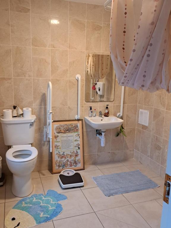 uma casa de banho com um WC e um lavatório em Budget Double Room in City em Kilkenny