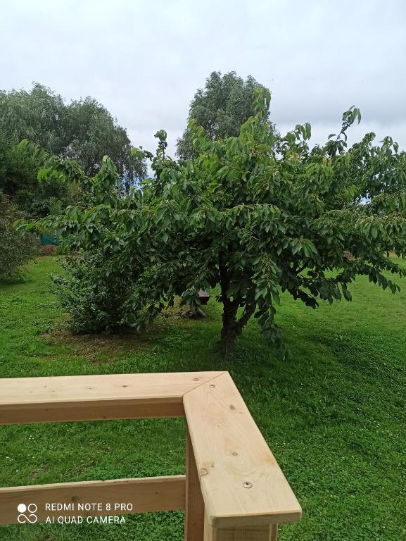 Zahrada ubytování Zakątek Turysty