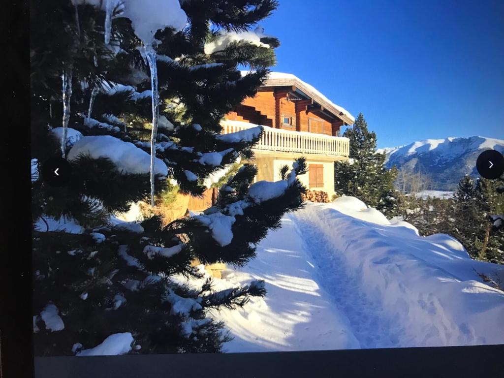 ein Blockhaus im Schnee mit einem Baum in der Unterkunft CHALET CAPRICES DES CIMES in Bolquere