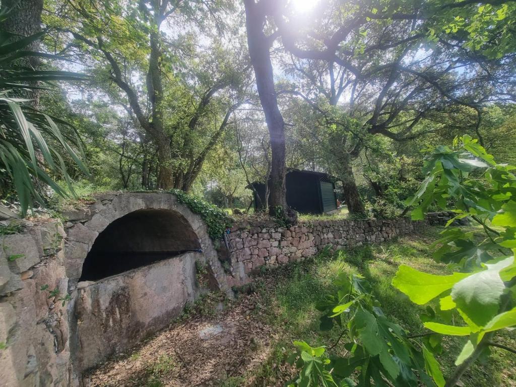 Zahrada ubytování Chalet avec piscine privée dans la forêt