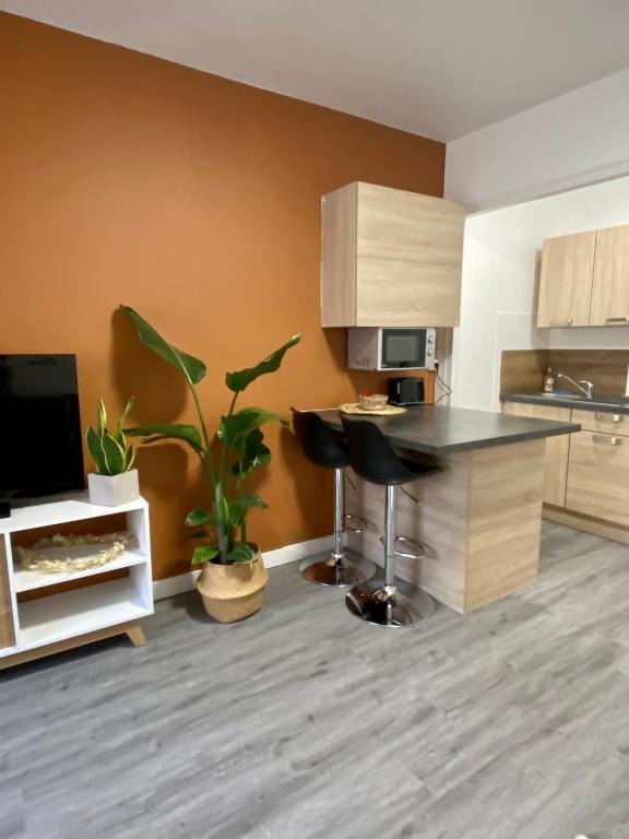 kuchnia z wyspą w środku pokoju w obiekcie Studio Confort Centre Ville w mieście Bourg-en-Bresse