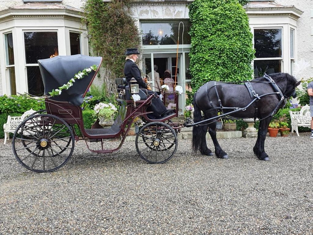 Majutusasutuse Ballyteige Lodge külastajad